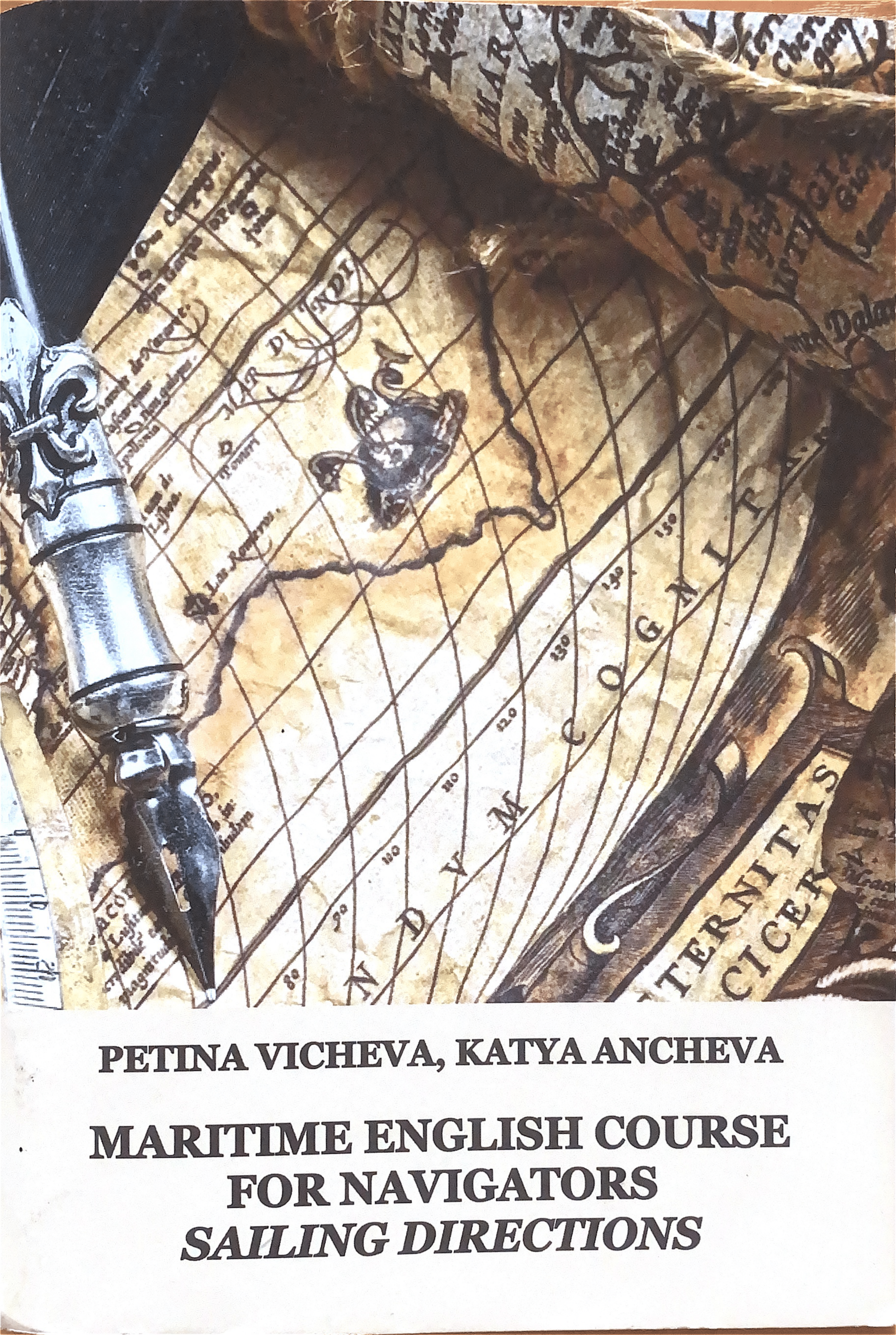 cover_monography_p-vicheva_k-ancheva